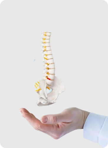 Orthopaedics